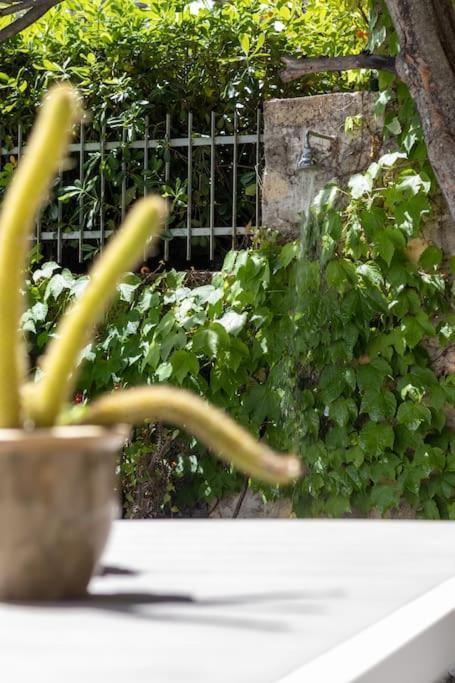 Il Giardino Tra Cielo E Mare Leilighet Porto Venere Eksteriør bilde